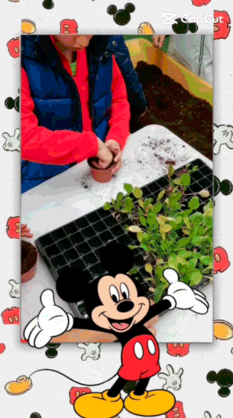 TALLERES PARA PEQUES EN VIVEROS MONTECARLO
