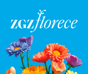 zaragoza florece