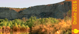Cartas desde el Galacho galacho en otoño