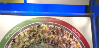 Visitando Madrid con los peques museo ciencias de madrid