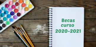 Becas de comedor curso 2020-21. Resolución.