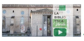 Cuentos de la Biblioteca Verde