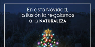 Dona tu árbol de Navidad