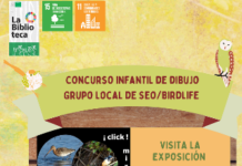 Concurso de dibujo de SEO/BirdLife