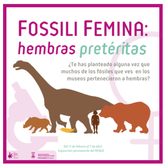 fossili femina