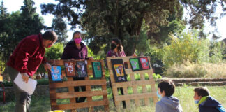 Para coles: Educación ambiental durante todo el curso con Pequeño Da Vinci