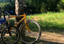 Bicitela: 23 rutas cicloturistas en Teruel