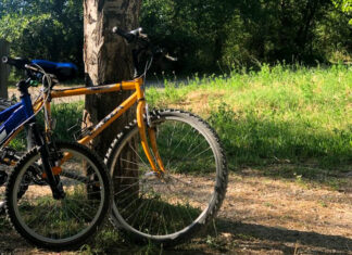 Bicitela: 23 rutas cicloturistas en Teruel