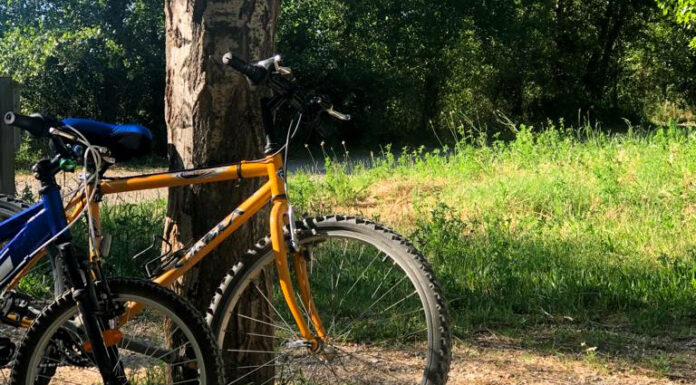 Bicitela: 23 rutas cicloturistas en Teruel