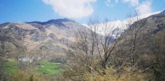 De excursión por el Pirineo con niños pequeños. Parc d’Ours en Borce parc d'ours