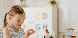 Para colegios: actividades didácticas de Fundación Ibercaja Actur para este curso